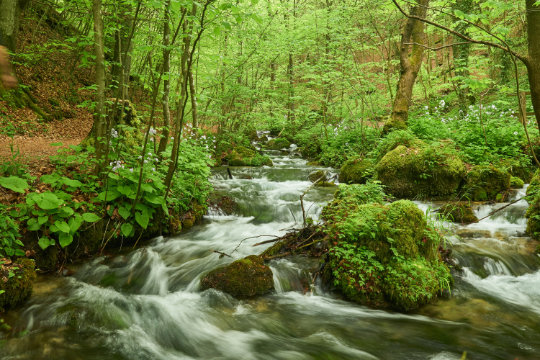Kocher-Jagst Etappen-Genuss